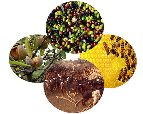 l'Association ACCORPE